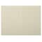 JAM Paper 3.5" x 4.875" Strathmore Ivory Wove Panel Blank Foldover Cards